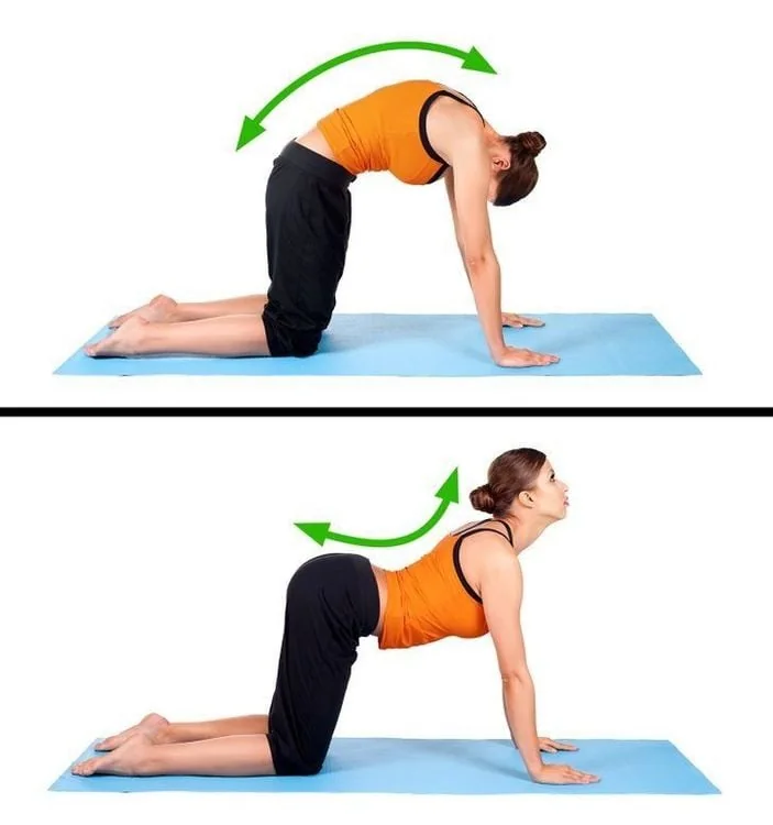 Hình ảnh tham khảo tư thế Chakravakasana.