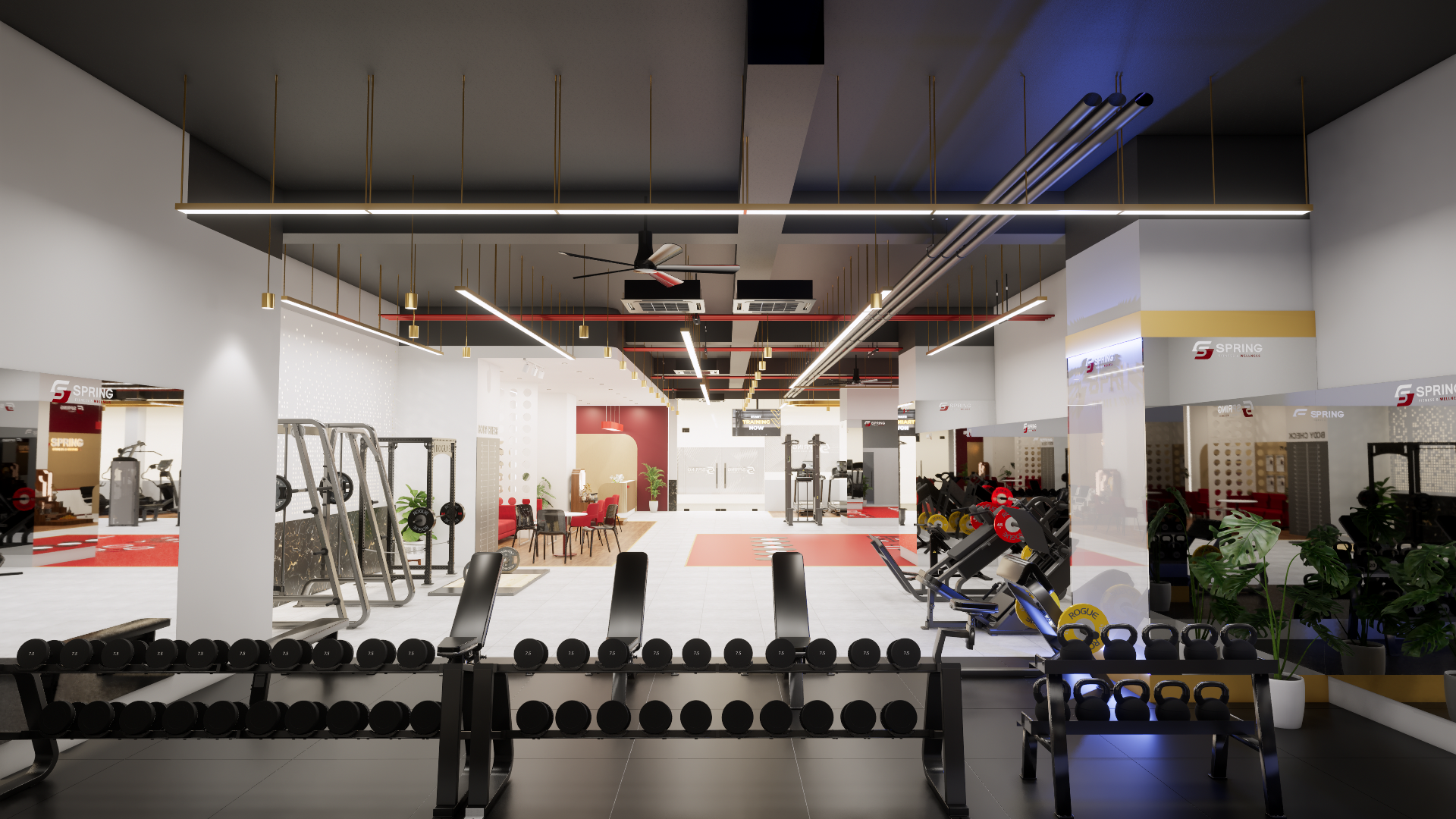 Spring Fitness Lò Đúc – hình ảnh không gian phòng tập